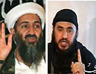 Bin Laden y Al Zarqaui