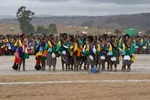 Suazilandia baile de la caña