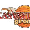 Logo Akasvayu 100X100