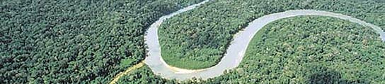 La Amazonía ha perdido ya el 18 % de su superficie total por la deforestación (ARCHIVO)