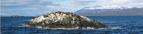 Canal de Beagle, en la Patagonia chilena (FOTO: Wikipedia )
