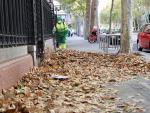 Un barrendero recog&iacute;a este martes las hojas en una calle madrile&ntilde;a.