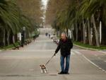 Un hombre pasea a su perro en Barcelona tras decretarse el estado de alarma que restringe la libertad de circulaci&oacute;n, con excepciones, como sacar a pasear al perro.