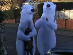 Los abuelos sorprendieron a los ni&ntilde;os disfrazados de osos polares.