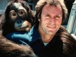 Clint Eastwood y el orangután Clyde en 'Duro de pelar' (1978)