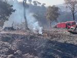 Bomberos y forestales siguen extinguiendo el incendio del pantano de San Juan