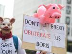 Protestas en el Reino Unido por la falta de trabajadores en la industria porcina.