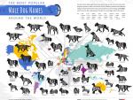 Mapa de los nombres de perro (macho) más comunes.