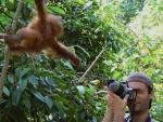 Un turista hace una fotografía a un orangután.