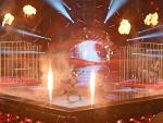 Achille Lauro, de San Marino, interpreta su canci&oacute;n 'Stripper' en la segunda semifinal de Eurovisi&oacute;n.