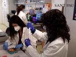 Investigadoras trabajan en el laboratorio del Instituto de Investigaci&oacute;n del Hospital Sant Pau de Barcelona, en una imagen de archivo.