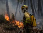 Un bombero trabaja en la extinci&oacute;n del incendio de Sierra de la Culebra, en Zamora, este jueves.