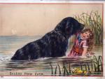Ilustraci&oacute;n de un perro Terranova rescatando a una ni&ntilde;a de ahogarse en el agua.