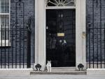 Larry, el gato del n&uacute;mero 10 de Downing Street.