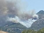 Incendio en el paraje El Higuer&oacute;n, Mijas.