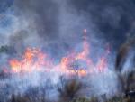 Incendio en el Parque Nacional de Monfrag&uuml;e, en el municipio de Deleitosa (C&aacute;ceres).