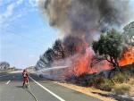Miembros de la UME intentan apagar el incendio forestal de Casas de Miravete, en C&aacute;ceres.