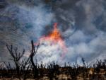 Incendio forestal de Bej&iacute;s