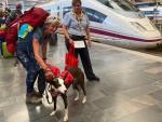Una perrita de tres a&ntilde;os, la primera mascota de hasta 40 kilos que viaja en un AVE desde Zaragoza-Delicias RENFE 16/9/2022