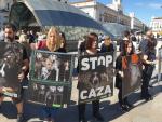 Protesta en Madrid contra la caza con perros