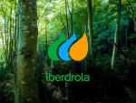 Nuevo logo de Iberdrola