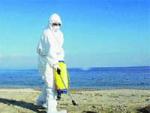 Desinfectando ayer la playa griega donde aparecieron aves enfermas.