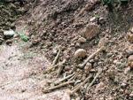 Huesos humanos depositados ayer en la cantera de Sagunto.