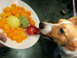 Helader&iacute;as caninas. Un perro se come un plato de frutas, verduras y helado en Dr. Pro, una helader&iacute;a para mascotas en Taipei.