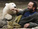 Knut juega con su cuidador. (Fabrizio Bensch / Reuters)