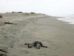 En la imagen, dos cuerpos en las costas de Yemen, en septiembre del 2008. EFE