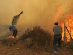 Dos voluntarios intentan apagar las llamas en Dioni, a 12 kil&oacute;metros al norte de Atenas