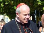 El cardenal austr&iacute;aco Christoph Sch&ouml;nborn.