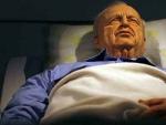 Escultura de Ariel Sharon en coma.