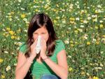 alergia, alergico, polem, alergia al polem, estornudos, estornudar