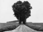 Una de las fotos de la exposici&oacute;n Henri Cartier-Bresson. The Geometry of the Moment Landscapes