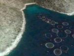 Piscifactor&iacute;as en la costa griega, vistas a trav&eacute;s de Google Earth.