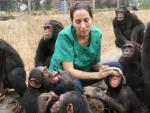 Rebeca Atencia cuidando de los chimpanc&eacute;s en la Rep&uacute;blica del Congo. El Instituto Jane Goodall no interfiere en la vida de los chimpanc&eacute;s salvajes, los que aparecen en la foto habitan en el centro de rehabilitaci&oacute;n de Tchimpounga.