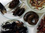 Los insectos son una parte fundamental de la dieta de algunos pa&iacute;ses de Asia o &Aacute;frica.