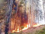 Incendio de bosque mediterr&aacute;neo en Lukavac, a 150 Kil&oacute;metros de Sarajevo, Bosnia-Herzegovina.
