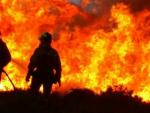 El pasado 26 de agosto se declar&oacute; un incendio en Oia (Pontevedra) que ha arrasado 1.200 hect&aacute;reas