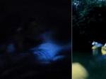 La Laguna Grande, una de las pocas bioluminiscentes del mundo.