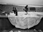 Un gallo sobre una mesa para una comida improvisada en la playa