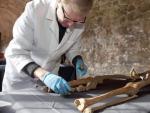 Un experto analiza uno de los 25 esqueletos desenterrados en marzo de 2013 en Londres, que pertenecen a v&iacute;ctimas de la Peste Negra.