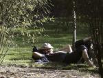 Un hombre toma el sol en el Parque del Retiro, en Madrid, donde multitud de personas disfrutan de las altas temperaturas registradas este s&aacute;bado en la capital.