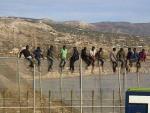 Unos 25 inmigrantes de origen subsahariano, encaramados en la parte alta de la valla de Melilla.