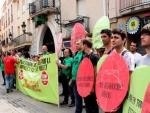 Una treintena de activistas de la PAH se han manifestado en silencio durante un acto de campa&ntilde;a del PP en Mollet del Vall&egrave;s (Barcelona).