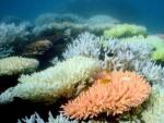 La Gran Barrera de Coral es Patrimonio de la Humanidad