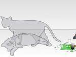 <p>El experimento del gato de Schrödinger, clave para entender la mecánica cuántica, expone que un gato encerrado en una caja con una botella de gas y un contador Geiger está vivo y muerto al mismo tiempo.</p>
