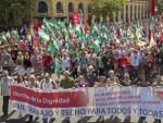 Movilizaci&oacute;n '21-J Rodea el Parlamento', celebrada en Sevilla.