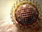 Imagen al microscopio del virus de la hepatitis.